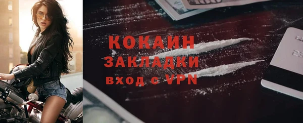 эйфоретик Арсеньев