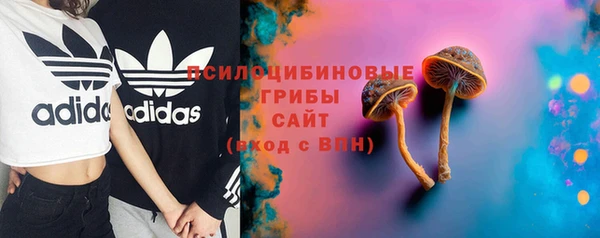 эйфоретик Арсеньев