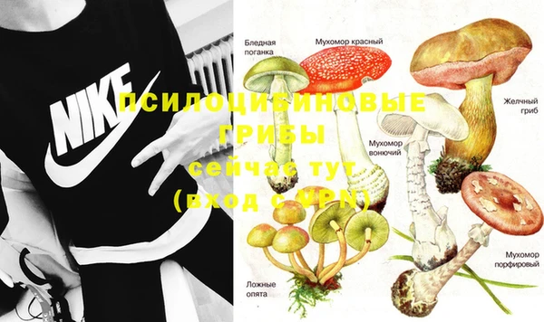 эйфоретик Арсеньев