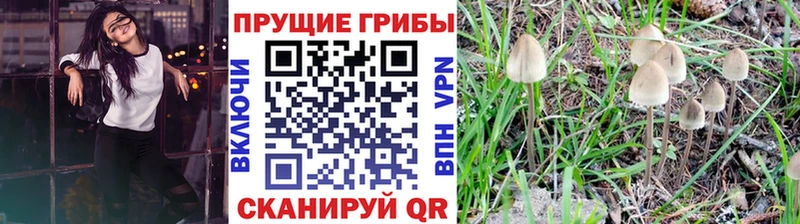 Галлюциногенные грибы мухоморы  как найти   shop какой сайт  Волгореченск 